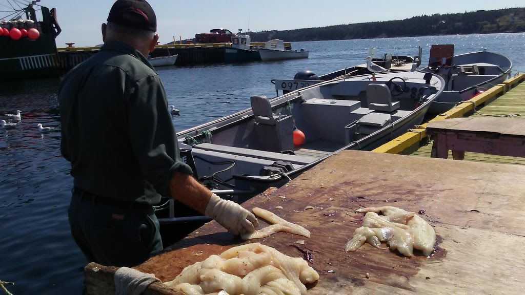 Bgi Crab Plant | Harbour Rd, Witless Bay, NL A0A 4K0, Canada