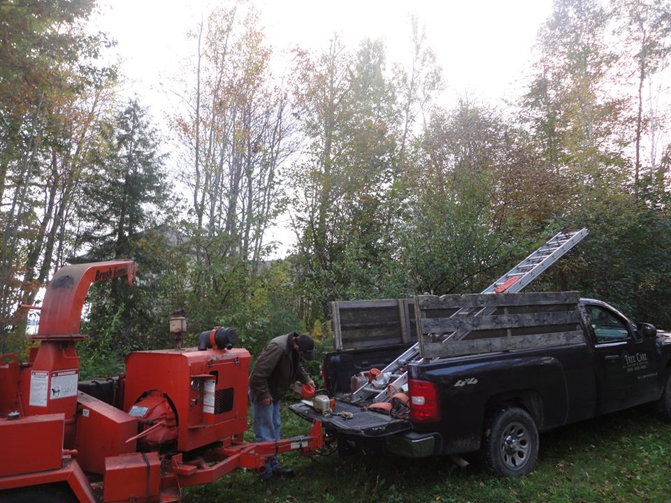 Tree Care | 1 Leeswood Dr, Quispamsis, NB E2G 1N1, Canada | Phone: (506) 849-1499