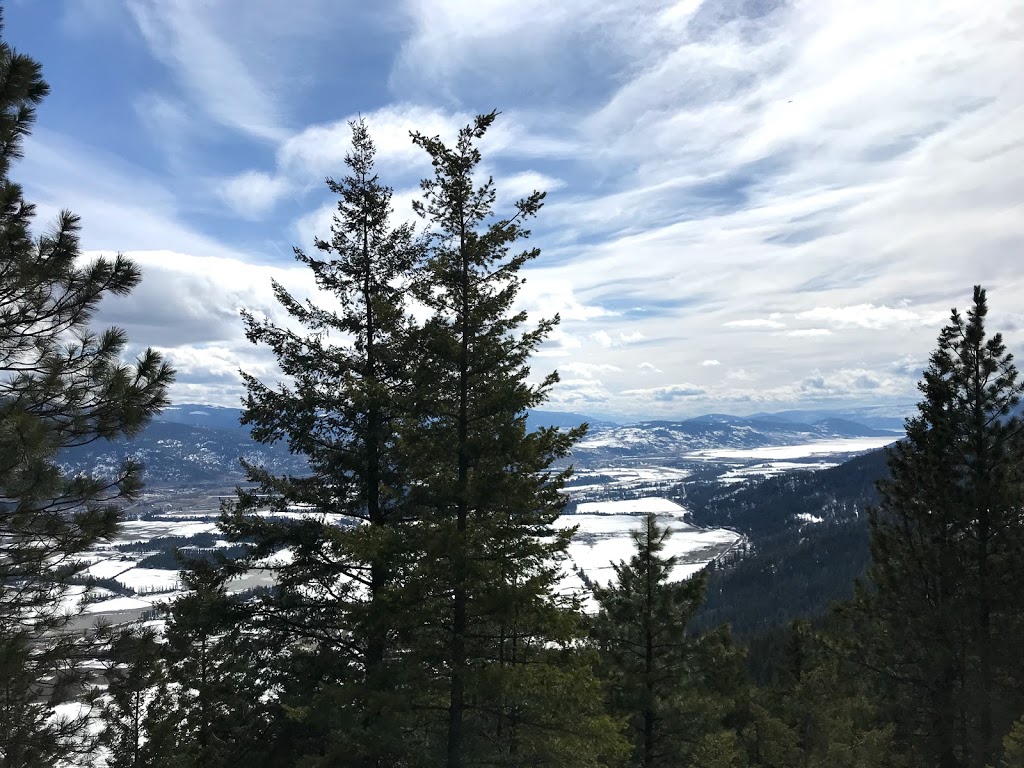 Rose Swanson Hiking Trails | Chamberlaine Rd, Armstrong, BC V0E 1B4, Canada