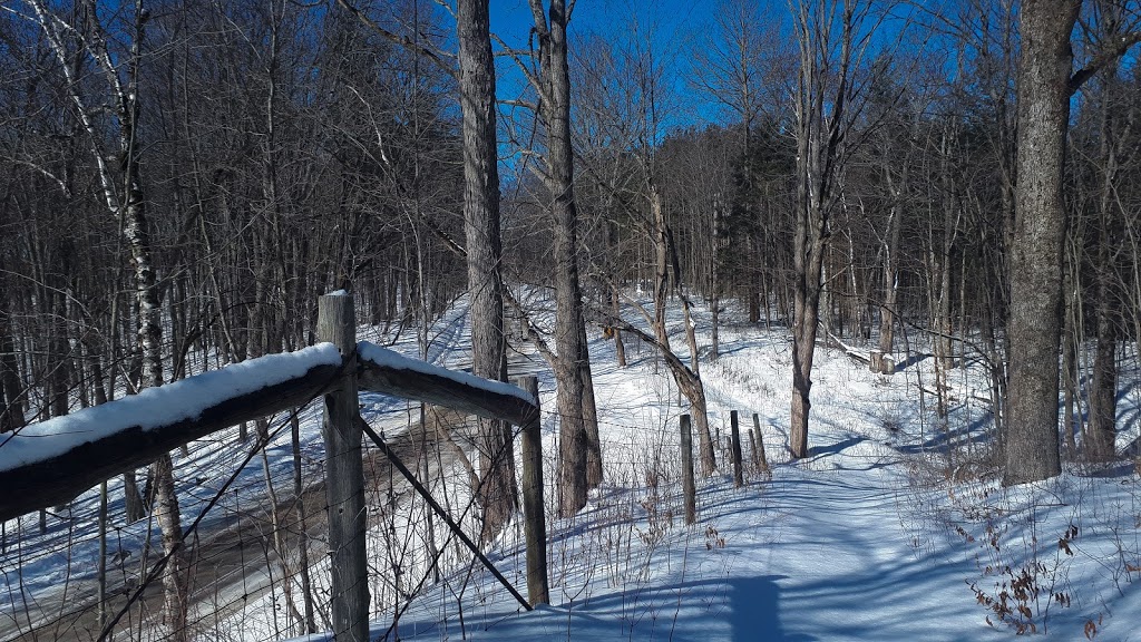 Walker Woods | Goodwood, ON L0C 1A0, Canada