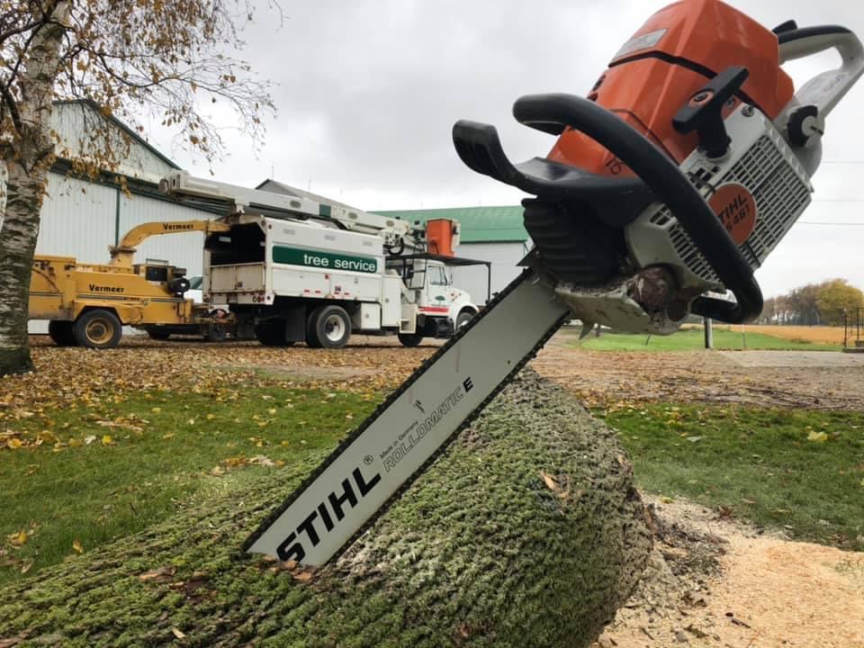 Tree Tech, Tree and Property Maintenance Specialists Inc. | 140 Clarke St, Mitchell, ON N0K 1N0, Canada | Phone: (519) 301-2058