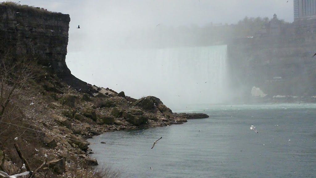 Gray Line Tours of Niagara Falls | 1625 Buffalo Ave Suite 1A, Niagara Falls, NY 14303, USA | Phone: (877) 285-2113