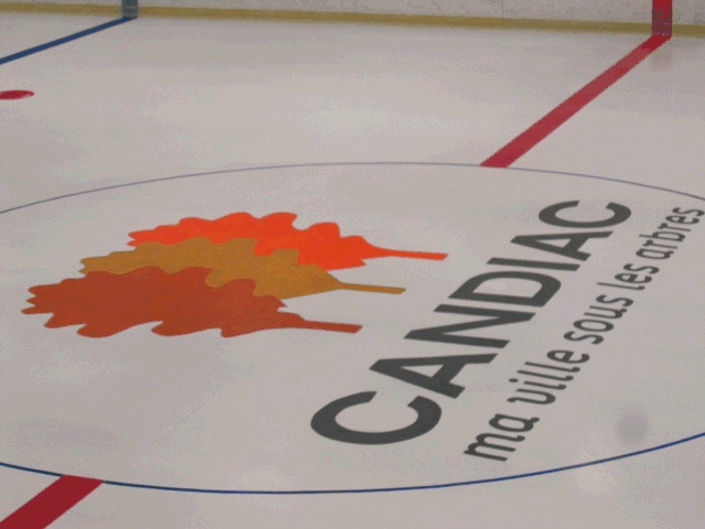 Complexe Sportif Candiac | 10 Rue Radisson, Candiac, QC J5R 3X8, Canada | Phone: (450) 635-2113