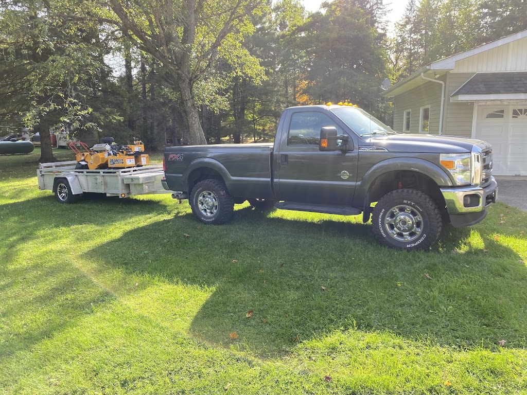 Stumpin’ Tom’s Stump Grinding | 1012 Wonderland Rd, Haliburton, ON K0M 1S0, Canada | Phone: (705) 455-2838