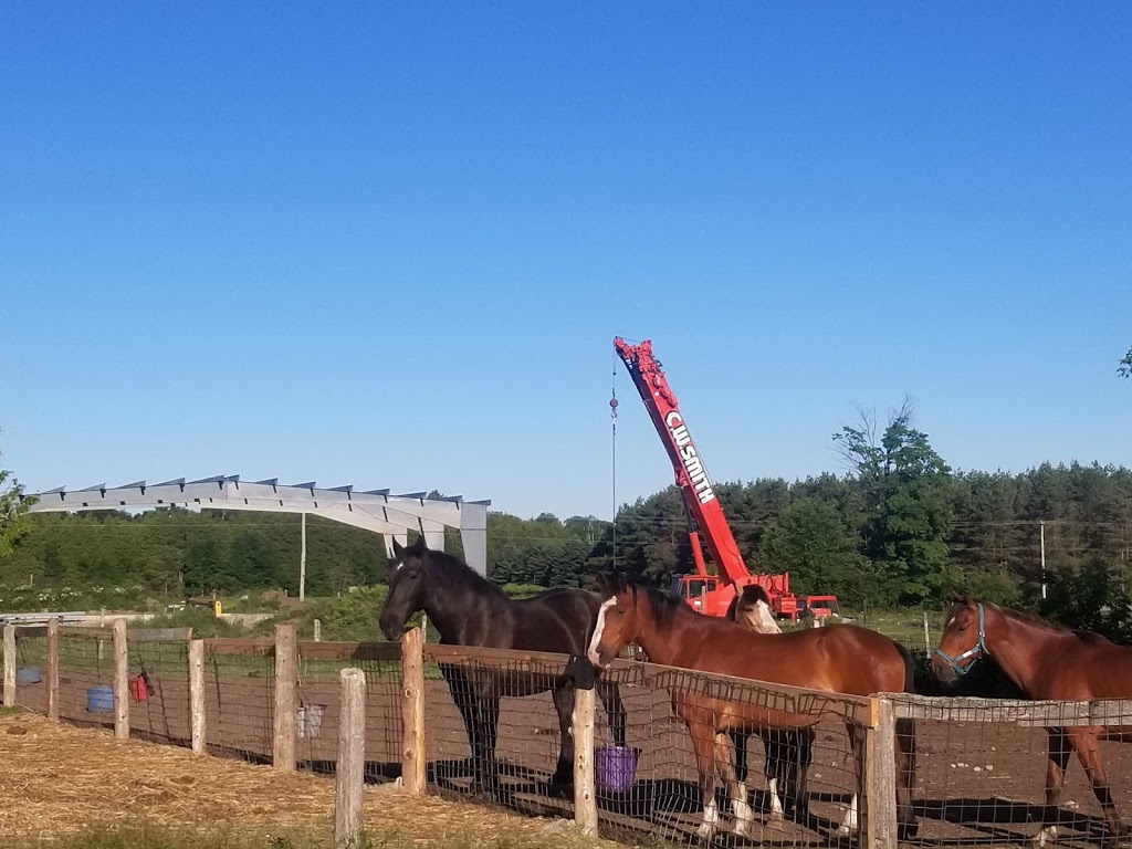 Valentia Equine Retraining Centre | 188 Valentia Rd, Little Britain, ON K0M 2C0, Canada | Phone: (705) 786-2226