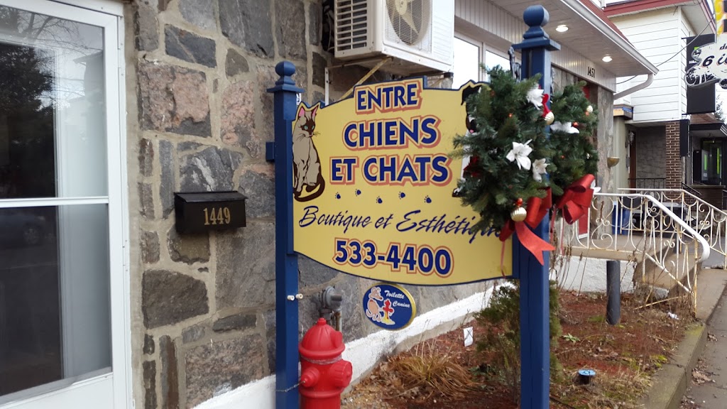 Entre Chiens et Chats Boutique et Esthétique | 2863 Rue Bellevue, Shawinigan, QC G9N 3L2, Canada | Phone: (819) 533-4400