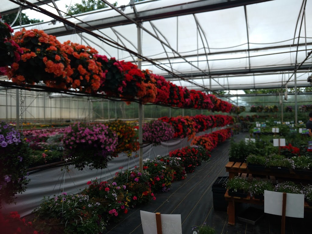 Clearview Garden Shop | 26350 56 Ave, Langley City, BC V4W 1J7, Canada | Phone: (604) 625-7467