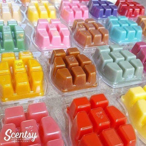 Terra Stone Independent Scentsy Consultant | 9 Sandra Rd, London, ON N5V 4X5, Canada | Phone: (226) 927-9142