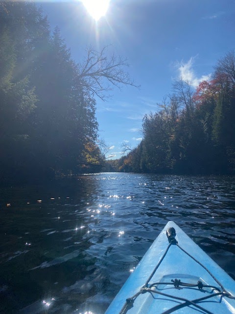 Cottage Country Kayak Tours | 149 Lakebreeze Rd, Fenelon Falls, ON K0M 1N0, Canada | Phone: (705) 345-2889