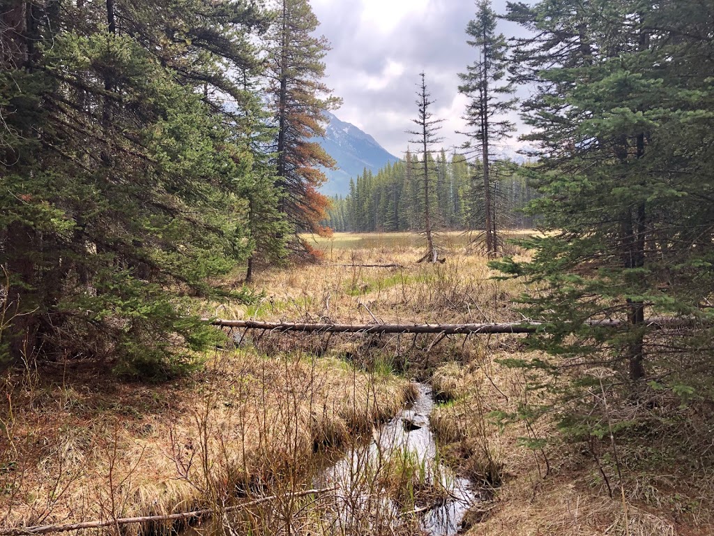 Elkwood Campground | Kananaskis, AB T0L, Canada | Phone: (403) 678-0760