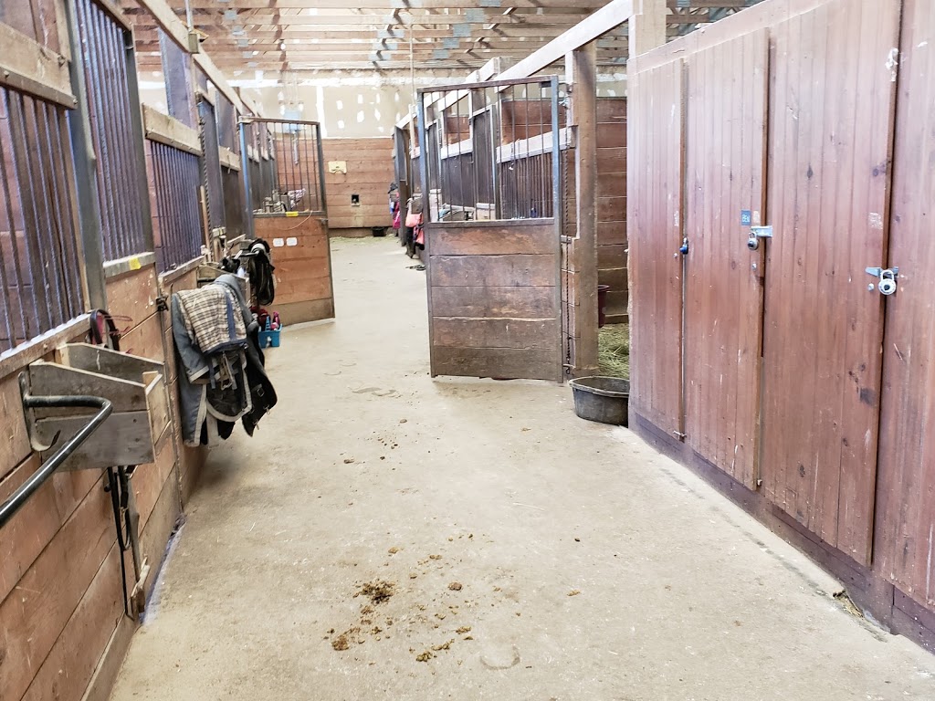 Iron Horse Equestrian Complex | 5244 Side Rd 1, Burlington, ON L7M 1T9, Canada | Phone: (289) 838-5768