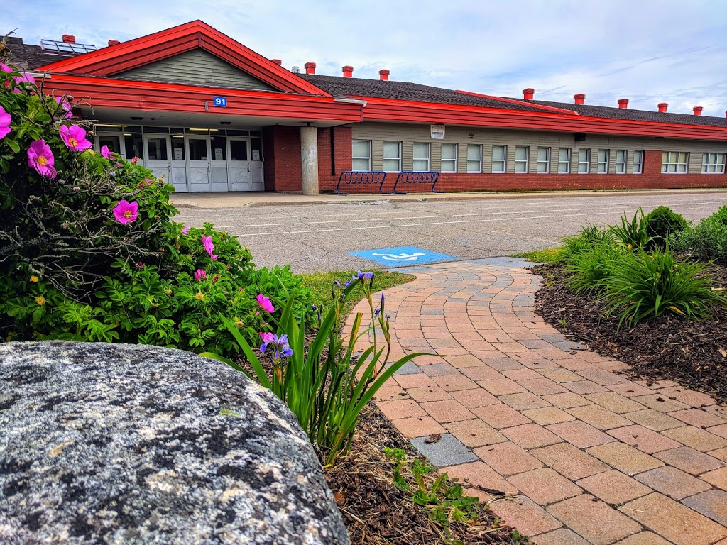 William King Elementary School | 91 St Pauls Ave, Herring Cove, NS B3V 1H6, Canada | Phone: (902) 479-4200