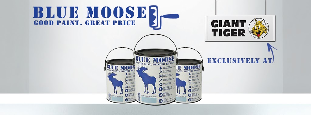 Blue Moose Recycled Paint | 940 Chippawa Creek Rd, Niagara Falls, ON L2E 6S5, Canada | Phone: (877) 593-2600