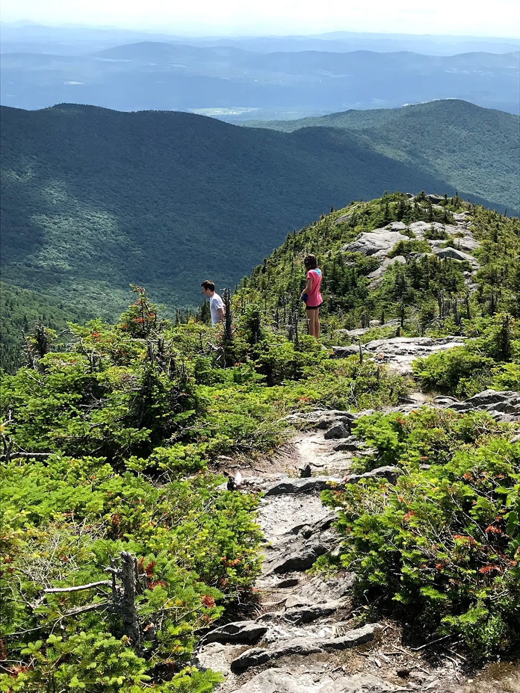 Jay Peak Trailhead | 2682, 2358, VT-242, Westfield, VT 05874, USA