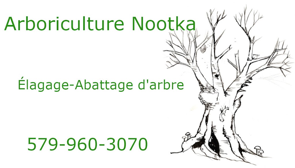 arboriculture nootka | 2815 chemin des laurentides, Sainte-Julienne, QC J0K 2T0, Canada | Phone: (579) 960-3070
