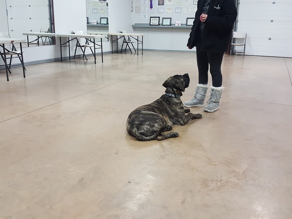 Canadian Canine Training | 52111 Range Rd 231, Sherwood Park, AB T8B 1A4, Canada | Phone: (780) 416-5050