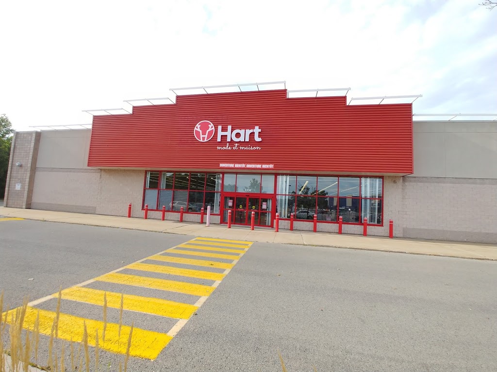 Hart | 3330 Rue Jean-Yves, Kirkland, QC H9J 2R6, Canada | Phone: (514) 461-7695