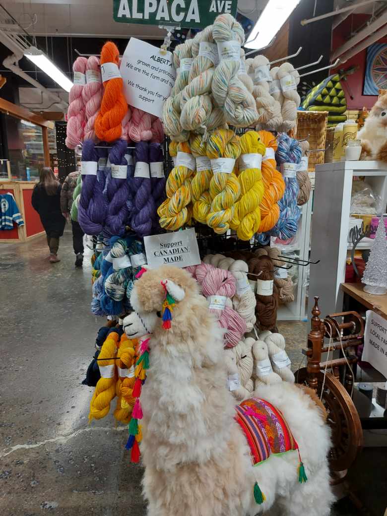 Loves Grace Alpacas | Gasoline Alley Farmers Market, 558 Laura Ave, Red Deer, AB T4E 0A5, Canada | Phone: (403) 650-7257