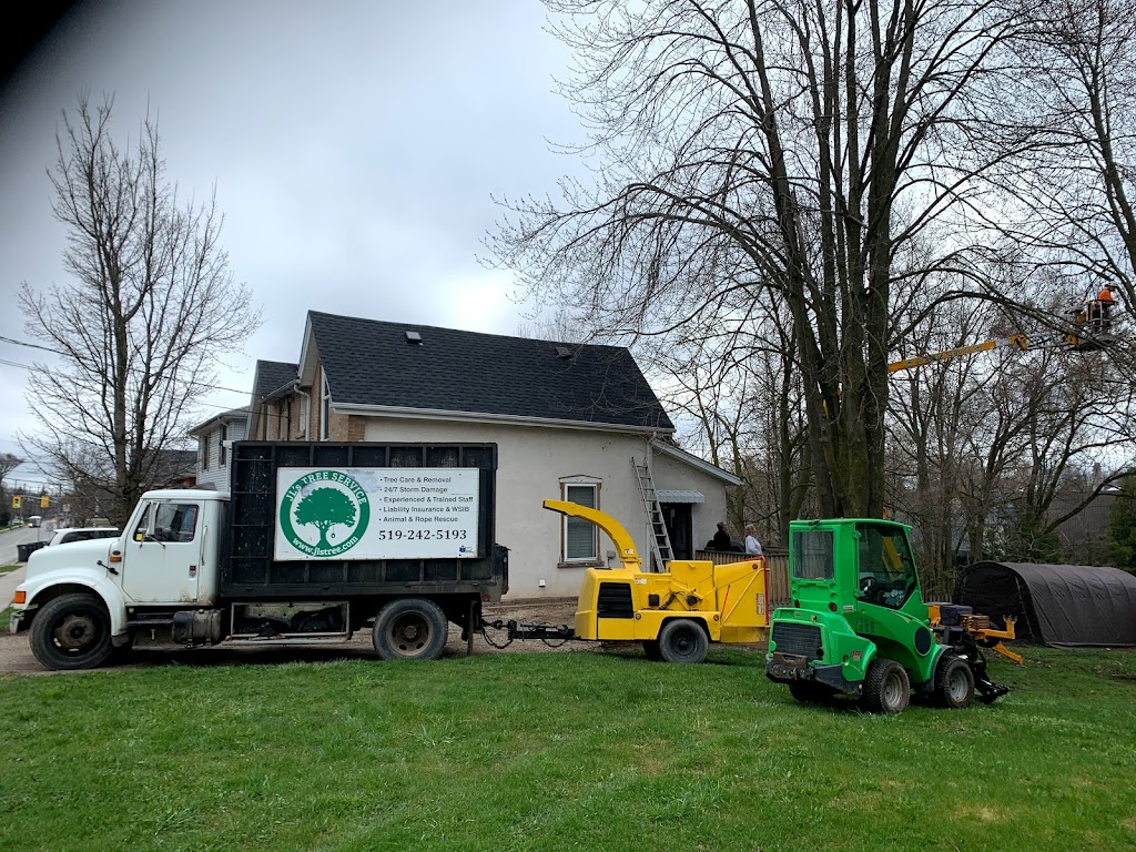 JLs Tree Service | 6149 Guelph St, Fergus, ON N1M 3E3, Canada | Phone: (519) 242-5193