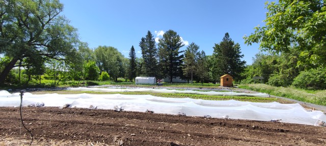 Les jardins de Ré-Gaia|Ferme maraîchère|Kiosque libre-service à la ferme | 26 Chem. de la 3 Concession, Noyan, QC J0J 1B0, Canada | Phone: (438) 526-7915