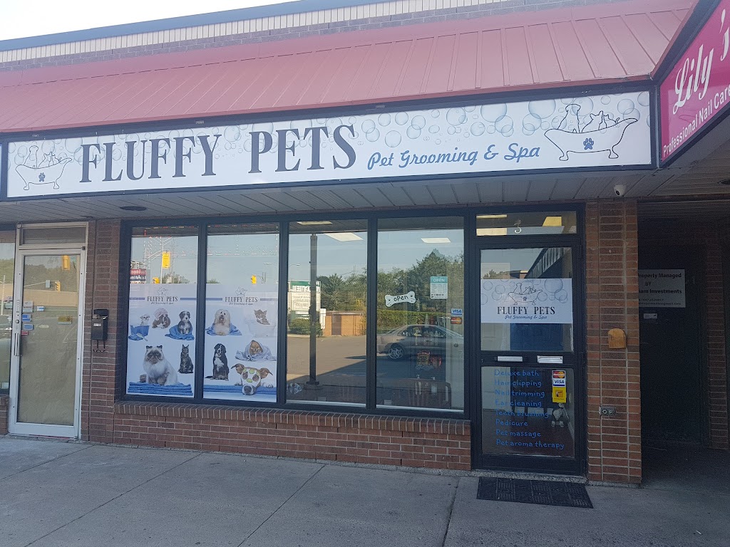 Fluffy Pets | 3110 Kingston Rd #3, Scarborough, ON M1M 1P2, Canada | Phone: (647) 289-5096