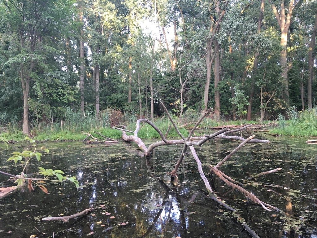 Lake St. Clair Nature Center | 31300 Metro Pkwy, Harrison Charter Township, MI 48045, USA | Phone: (586) 463-4581