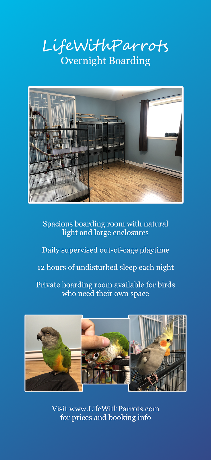 LifeWithParrots Boarding & Grooming | 19 Mitchell Ct, Bedford, NS B4A 3J3, Canada | Phone: (902) 497-9169