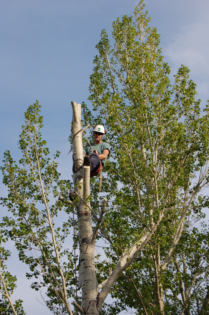 Arborist Supply Co. Inc. | 141 Commercial Dr #8, Calgary, AB T3Z 2A7, Canada | Phone: (888) 240-3993