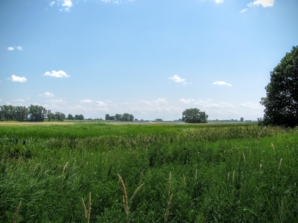 Parc Saint-Laurent | Repentigny, QC, Canada