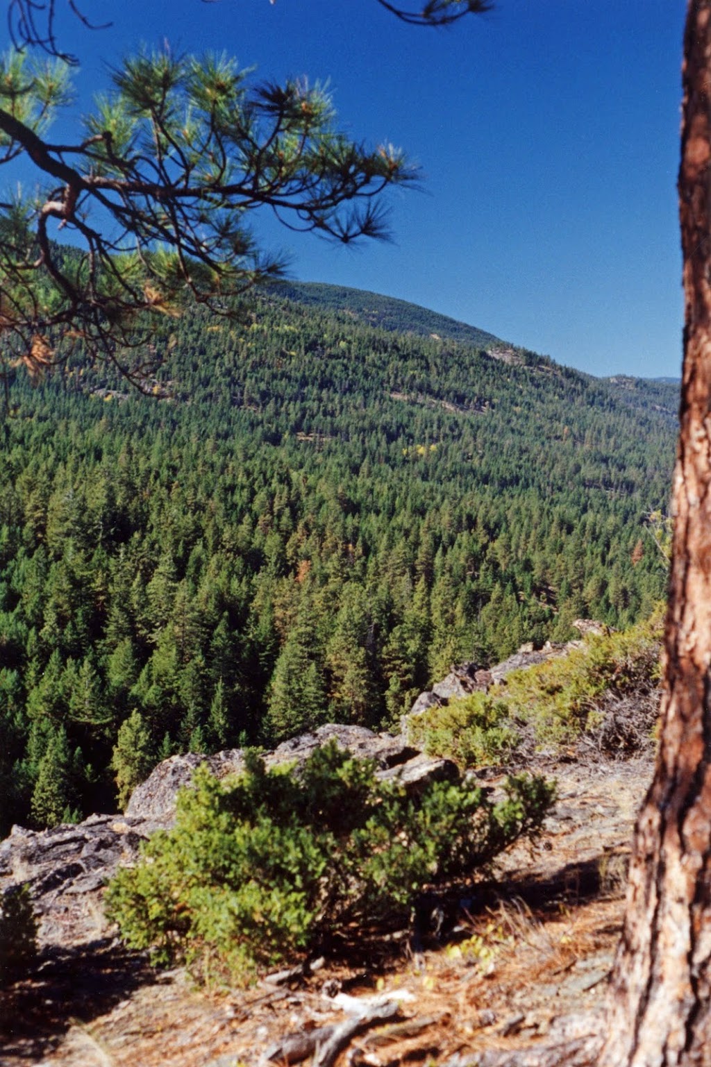 Cedar Mountain Regional Park | Southwest Mission, Kelowna, BC V1W, Canada