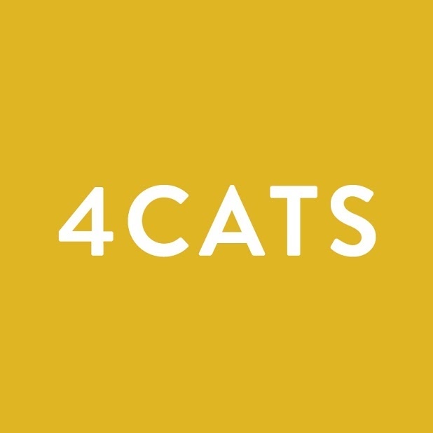 4Cats Arts Studio | 125 Hawkview Blvd #5, Woodbridge, ON L4H 2E2, Canada | Phone: (905) 553-2787