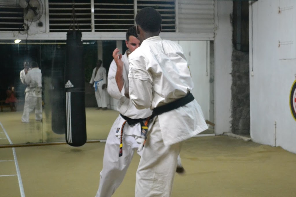 Alexandre Haché Kyokushin Karate Inc. | 550 Chemin du Golf #107, Verdun, QC H3E 1A8, Canada | Phone: (514) 451-8730