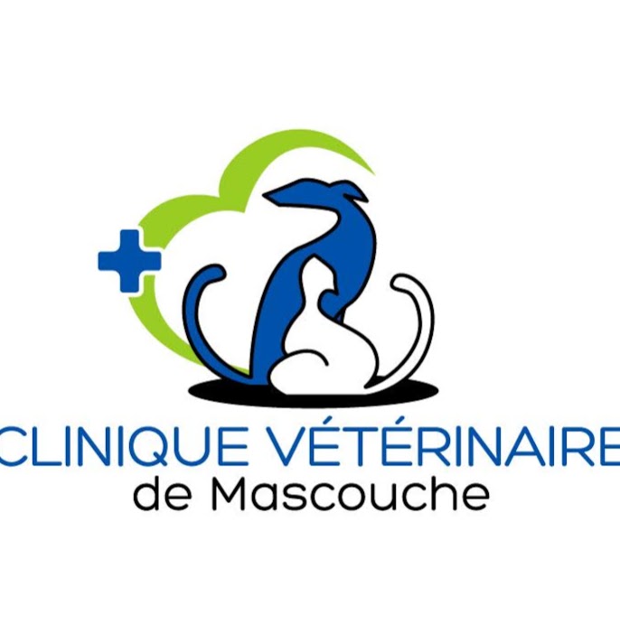Veterinary Clinic De Mascouche | 2594 Chemin Ste Marie, Mascouche, QC J7K 1M9, Canada | Phone: (450) 474-4161