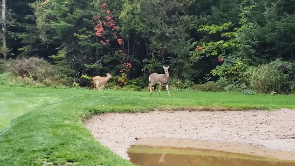 Club De Golf Chantecler Ste-Adèle Ltée | 2520 Chem. du Club, Sainte-Adèle, QC J8B 3C3, Canada | Phone: (450) 476-1339