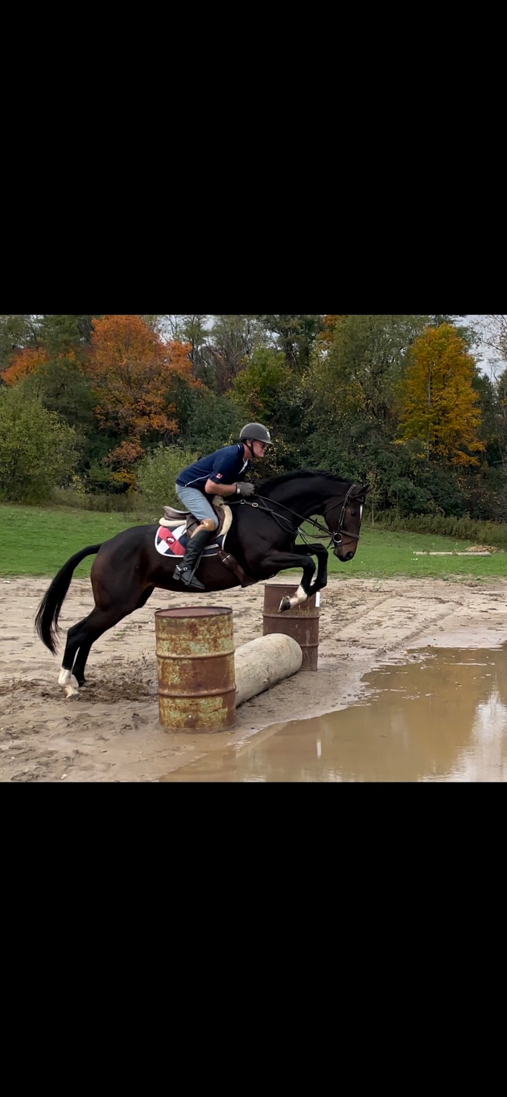 SV Equestrian International Inc | 13719 First Line Nassagaweya, Moffat, ON L0P 1J0, Canada | Phone: (519) 215-6613