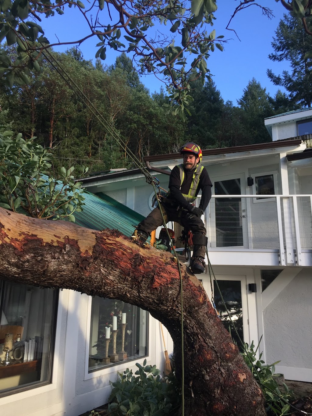 Island Tree Care | 209 Juniper Pl, Salt Spring Island, BC V8K 2Y1, Canada | Phone: (250) 858-6879