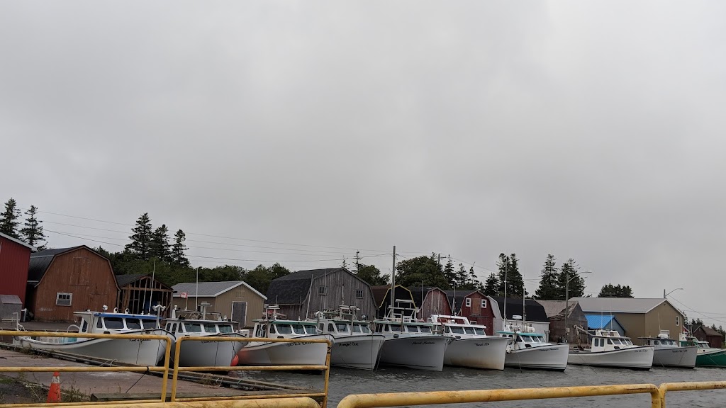 Cabot Fishermens Co-op Assoc | Malpeque Wharf Rd, Kensington, PE C0B 1M0, Canada | Phone: (902) 836-3062