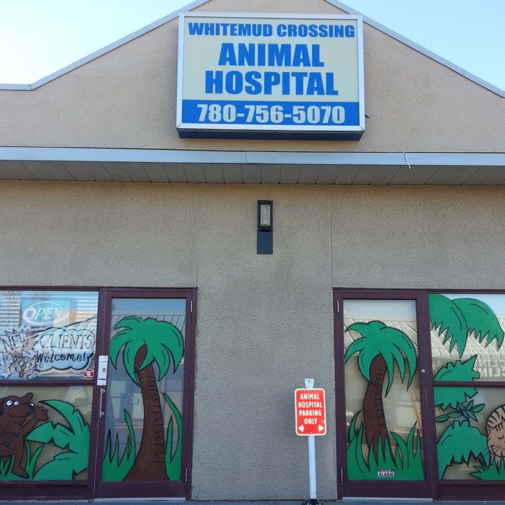 Whitemud Crossing Animal Hospital | 4211 106 St NW #110, Edmonton, AB T6J 6L7, Canada | Phone: (780) 756-5070