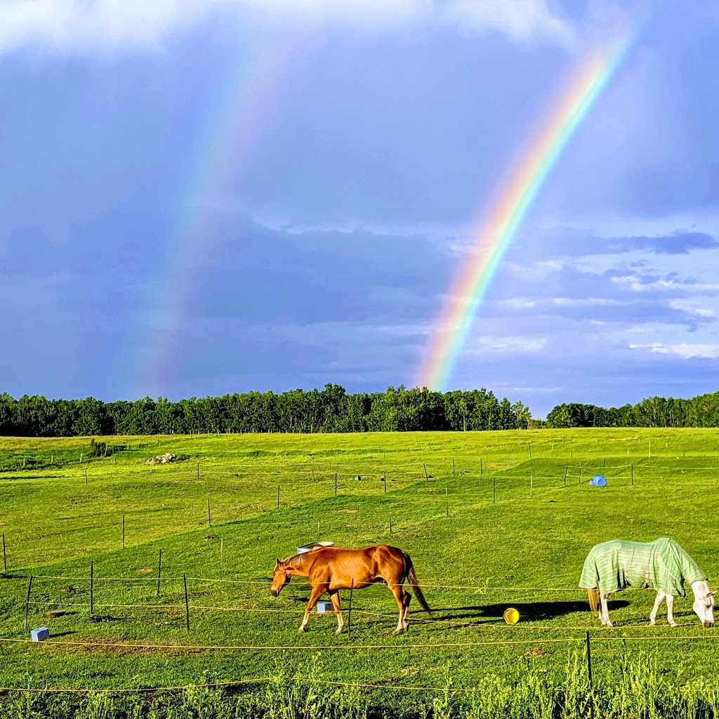 Strickland Ranch | 23256 Township Rd 352, Elnora, AB T0M 0Y0, Canada | Phone: (403) 483-8820