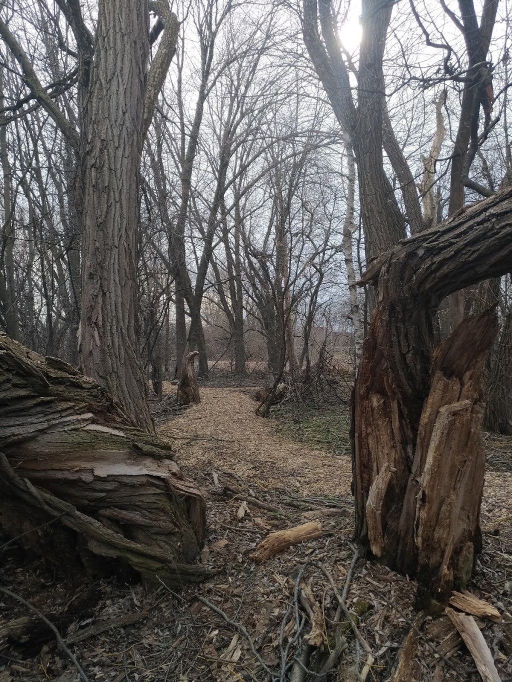 Arboretum Stephen-Langevin | Chemin de la Côte den Bas, Boucherville, QC J3V 6P4, Canada