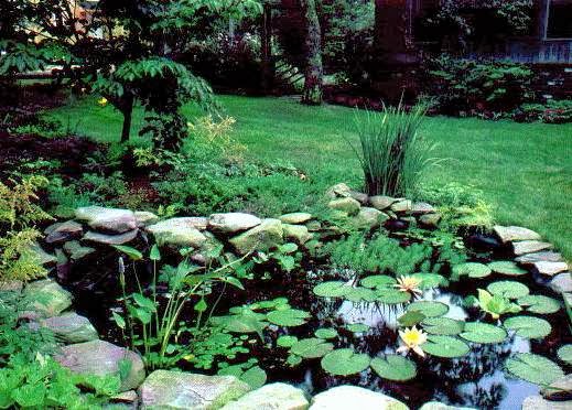 Total Gardening Services Ltd. | 50 Ontario St, Guelph, ON N1E 5K6, Canada | Phone: (519) 836-9245