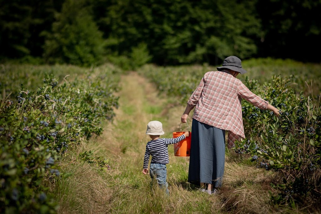 Haslam Creek Berry Farm-certified organic blueberry | 2900 Rugby Road, Nanaimo, BC V9X 1T2. Or, 2900 Beck Rd, Nanaimo, BC V9X 1T2, Canada | Phone: (250) 797-0623