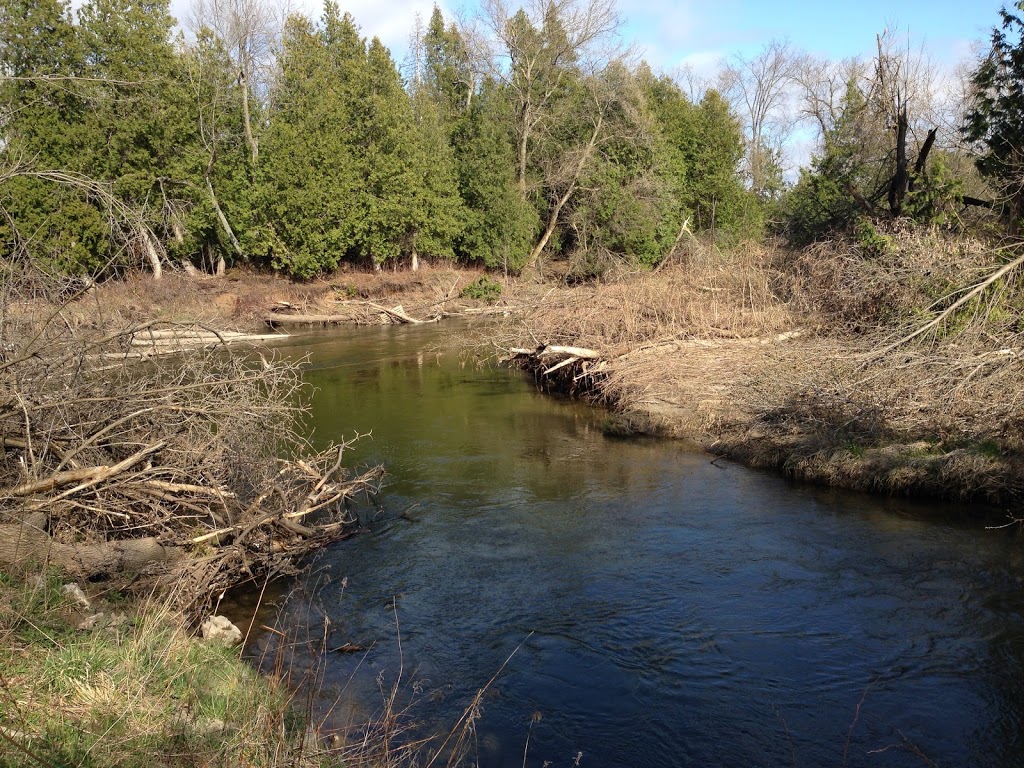 Beattie Pinery Provincial Nature Reserve | Alliston, ON L9R 1V4, Canada | Phone: (705) 435-2065