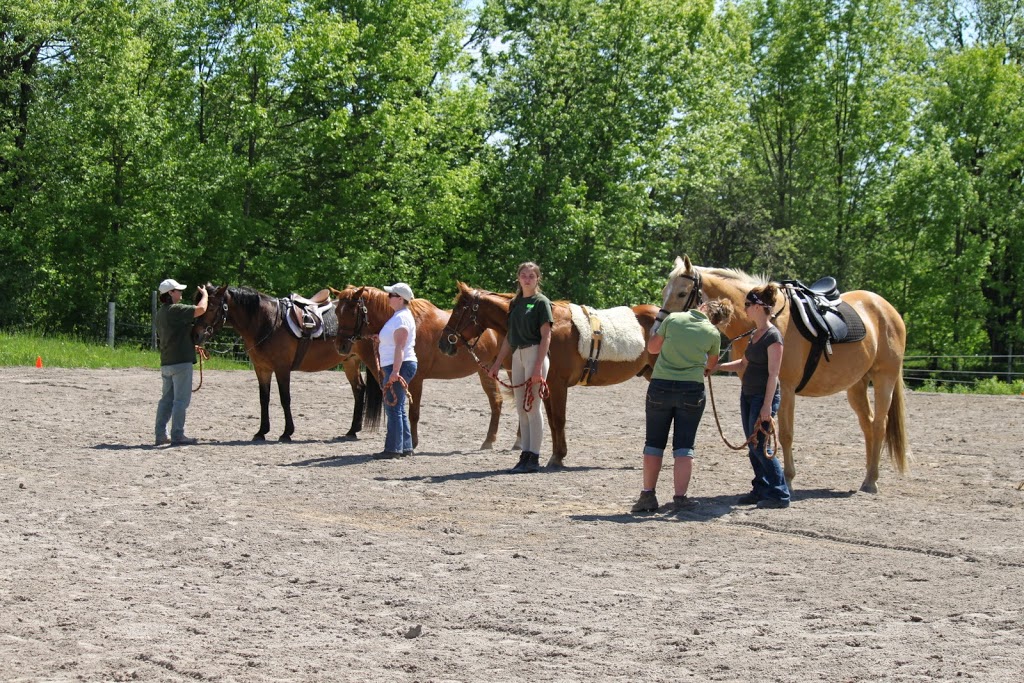 Pard Therapeutic Riding | 1372 Line Rd 4, Warsaw, ON K0L 3A0, Canada | Phone: (705) 742-6441