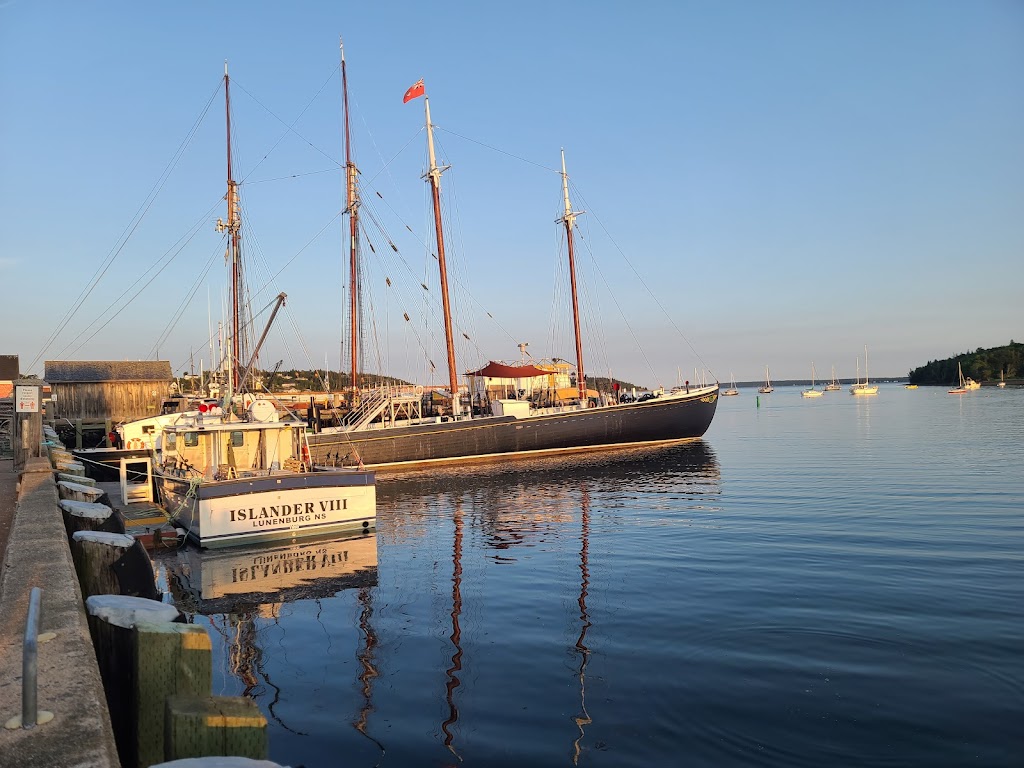 Lunenburg Whale Watching Tours | 62 Bluenose Dr, Lunenburg, NS B0J 2C0, Canada | Phone: (902) 527-7175