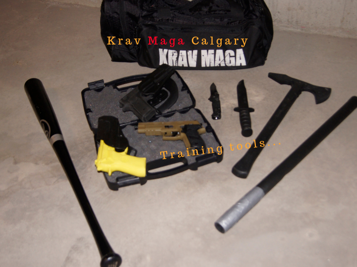 Krav Maga Calgary | 2633 Hochwald Ave SW, Calgary, AB T3E 7K2, Canada | Phone: (403) 493-4886