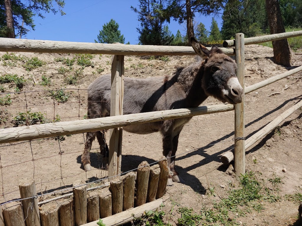 Funtasia - Fairmont Fun Park | 4896 BC-93 #95, Fairmont Hot Springs, BC V0B 1L1, Canada | Phone: (250) 345-4511