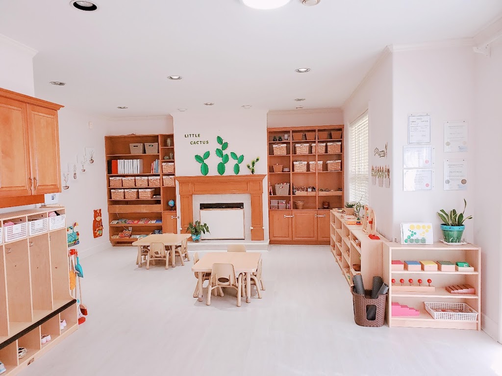 Little Cactus South Daycare | 9311 Kirkmond Crescent, Richmond, BC V7E 1M7, Canada | Phone: (778) 882-8317