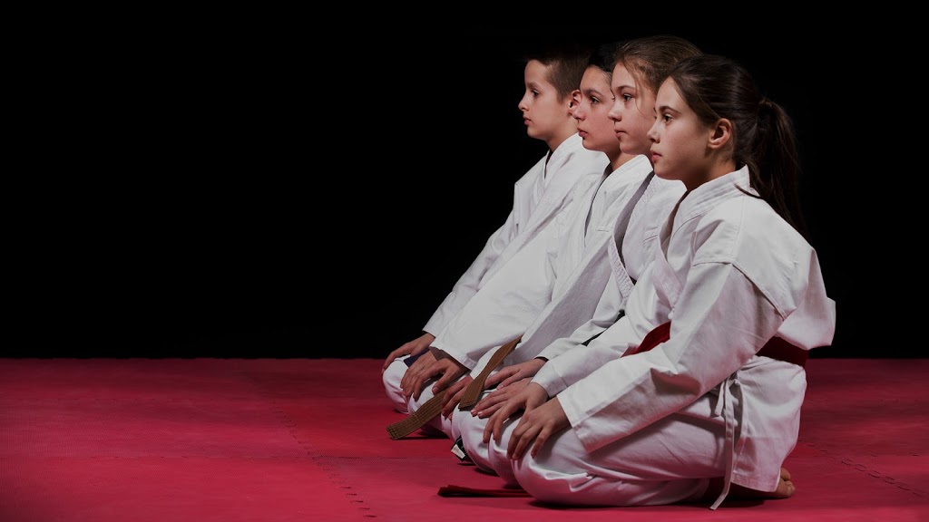 Dynamic Karate | 150 Violet Dr, Hamilton, ON L8E 6B4, Canada | Phone: (905) 928-5425