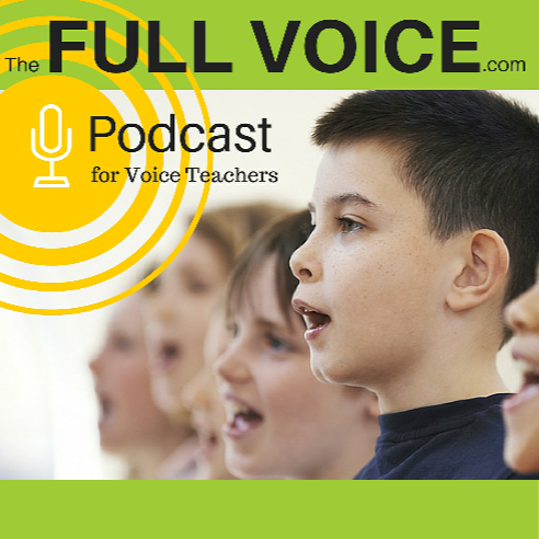 The Full Voice | 19 Pearl St N, Hamilton, ON L8R 2Y6, Canada | Phone: (905) 297-0284